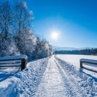 Verkehrssicherungspflicht – Schneefanggitter erforderlich?